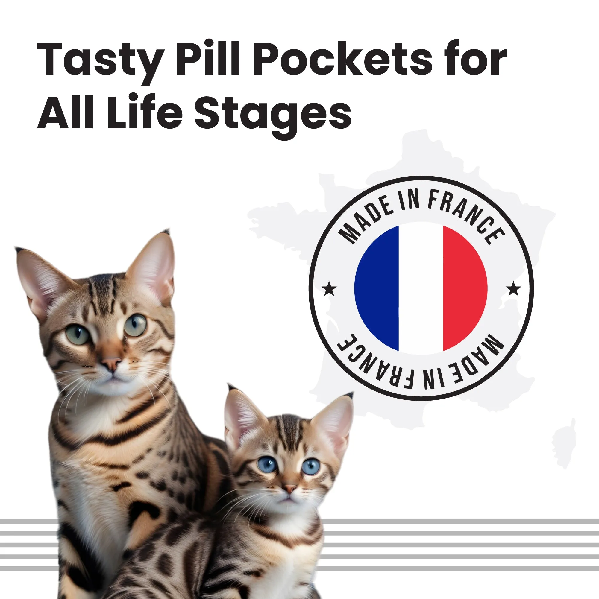 Bark Out Loud Anti Anxiety Easy Pill for Cats (Limited Shelf Life)