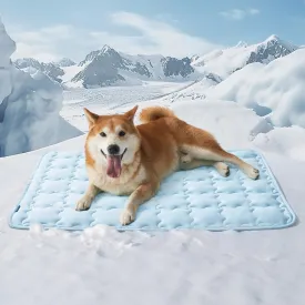 Bedsure Cooling Mat for Large Dogs  35x23 Thin Washable Cooling Pet Pad for Puppy, QMAX>0.5, Portable Kennel Puppy Bed for Summer, Non-Slip Summer Crate Pad for Big Dog Up to 50 lbs