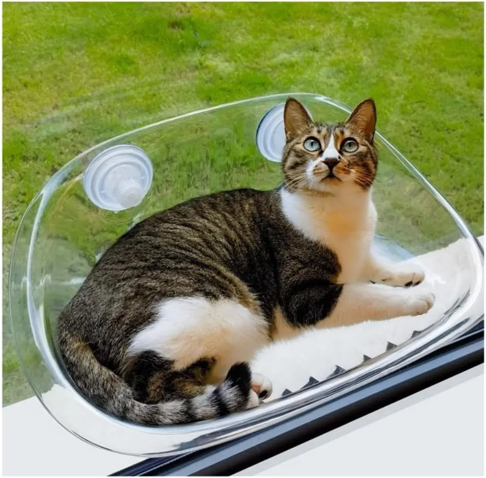 Cat Hammock Transparent Window Open Cat Nest Easy to Install Suction Cup Suspended Cat Climbing Frame Four Seasons Indoor Sunbathing Cat Bed Pet Supplies (Transparent)