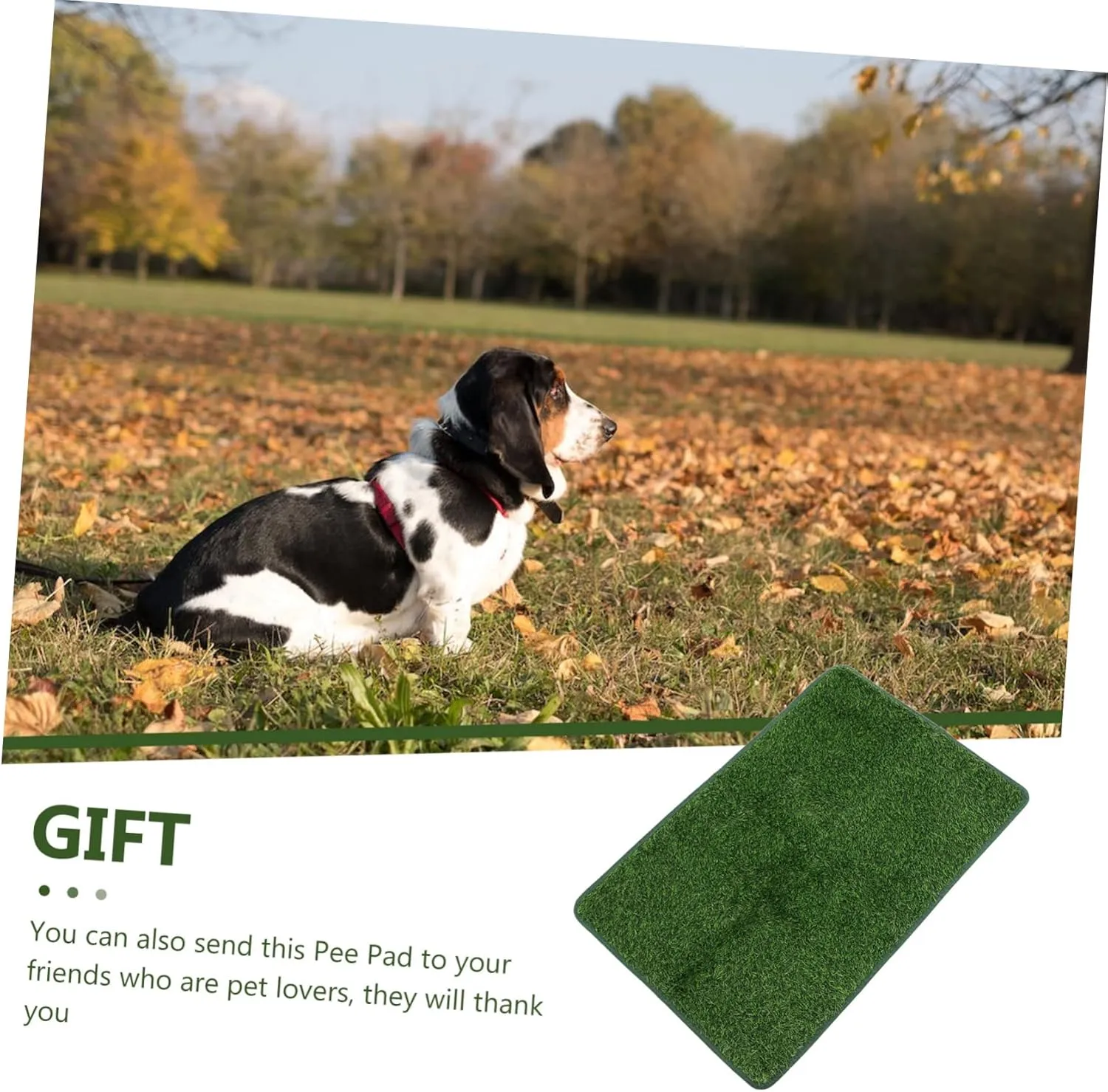 Decorative Pet Pee Pad Wear-Resistant Fake Grass Mat for Dogs Cats Portable Pad for Training Pet Accessories Vivid Design for Cages Travel