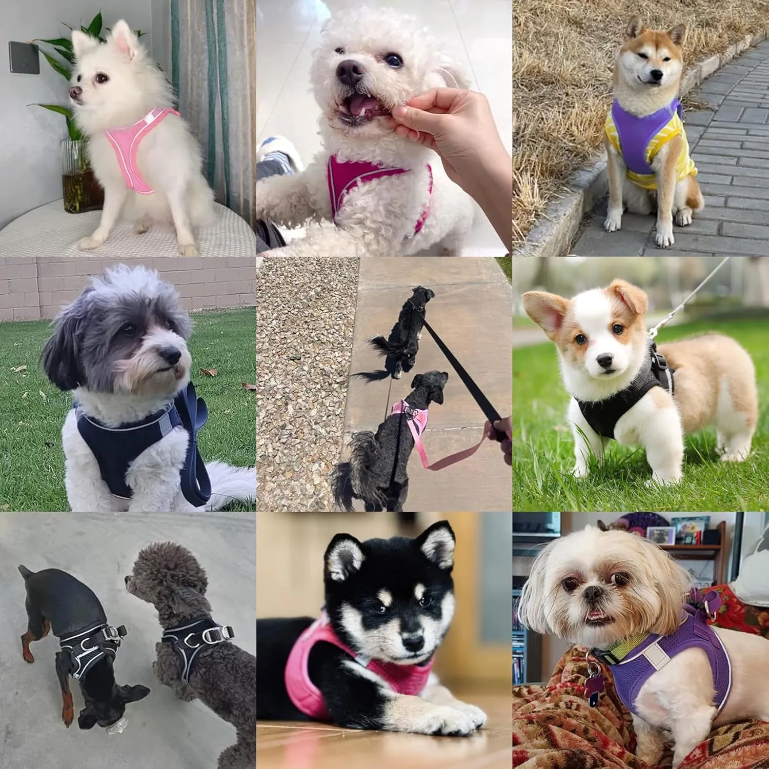 Dog Harness with Leash Set, No-Pull Step-in Reflective Pet Harness with 1 Leash Clips, Adjustable Soft Padded Easy Walk Dog Vest for Small Medium Large Dogs, Cats(Carbon Black, Medium)
