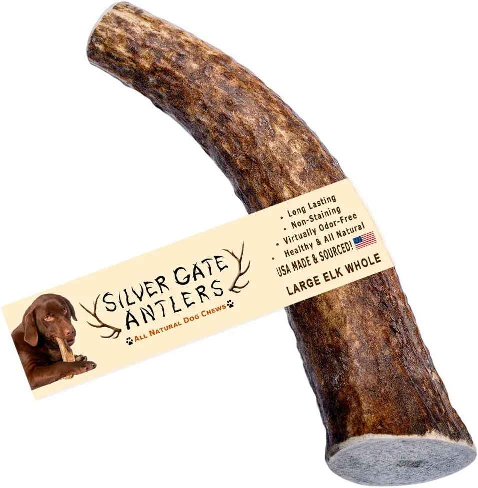 Elk Antlers for Dogs - Large 6 to 7 Inch Antler Dog Chew, Whole - USA Made All Natural Elk Dog Chews - Long Lasting Durable Chew Toys for Aggressive Chewers