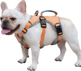 Escape Proof Dog Harness, Escape Artist Harness, Reflective Dog Harness with Handle, Durable,Adjustable Vest for Small Medium Large Dogs Walking, Training, and Running Gear(Orange,S)