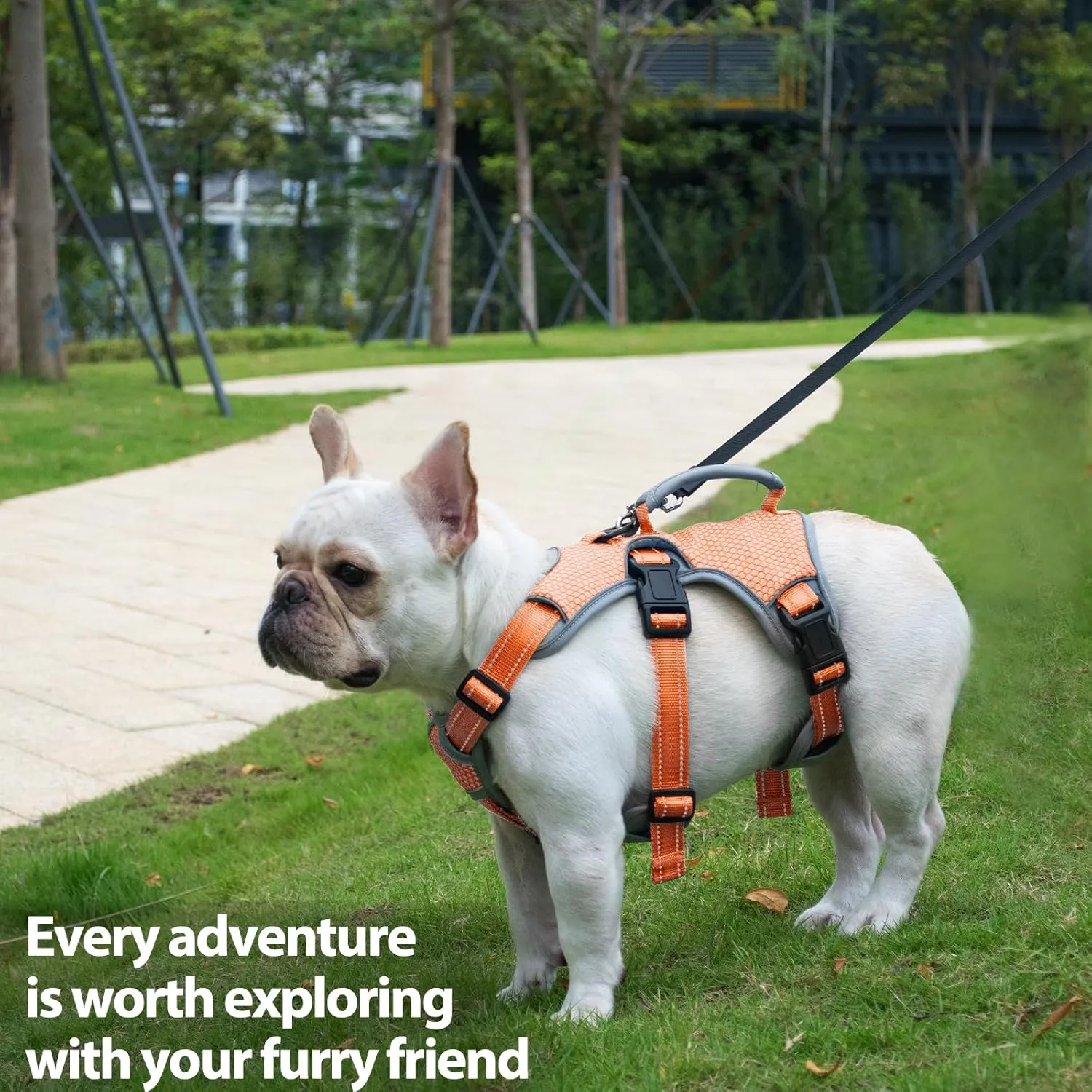 Escape Proof Dog Harness, Escape Artist Harness, Reflective Dog Harness with Handle, Durable,Adjustable Vest for Small Medium Large Dogs Walking, Training, and Running Gear(Orange,S)