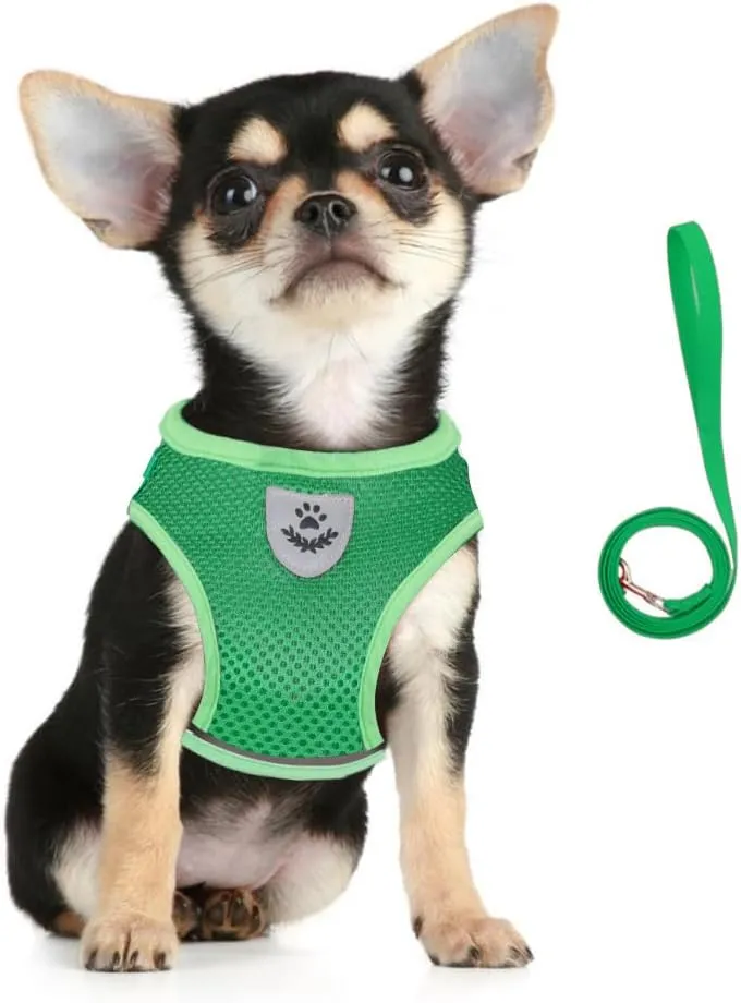 FEimaX Dog Harness and Leash Set for Walking, Soft Mesh Adjustable Easy Control Lightweight Cat Vest Harnesses with Reflective Strips, Escape Proof Small Dogs Cats Vests