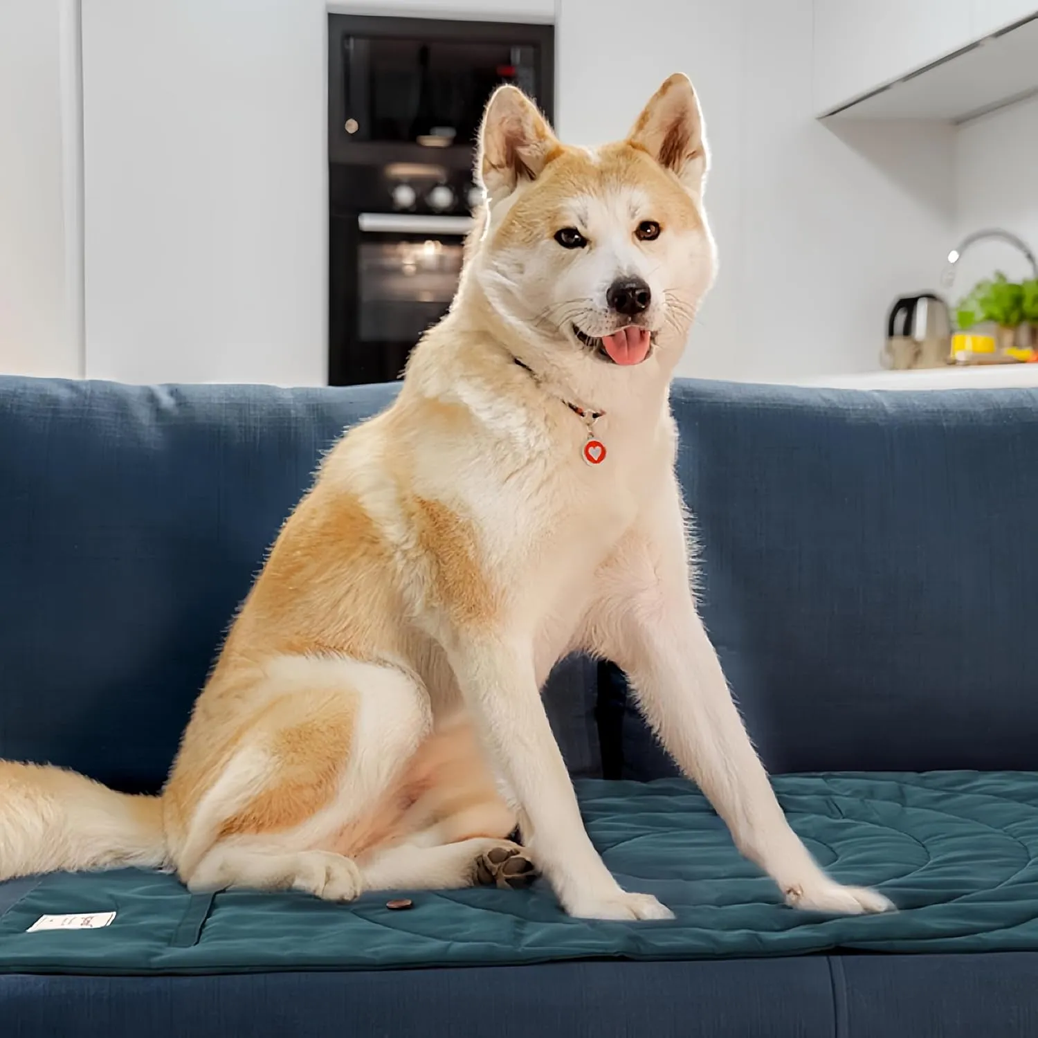 Foldable Waterproof Dog Mat | 37.4"x25.6" Portable Camping Travel Bed with Handle | All-Breed Training Pad, Machine Washable | Blocks Moisture, Easy Clean for Outdoor Adventures (Yellow)
