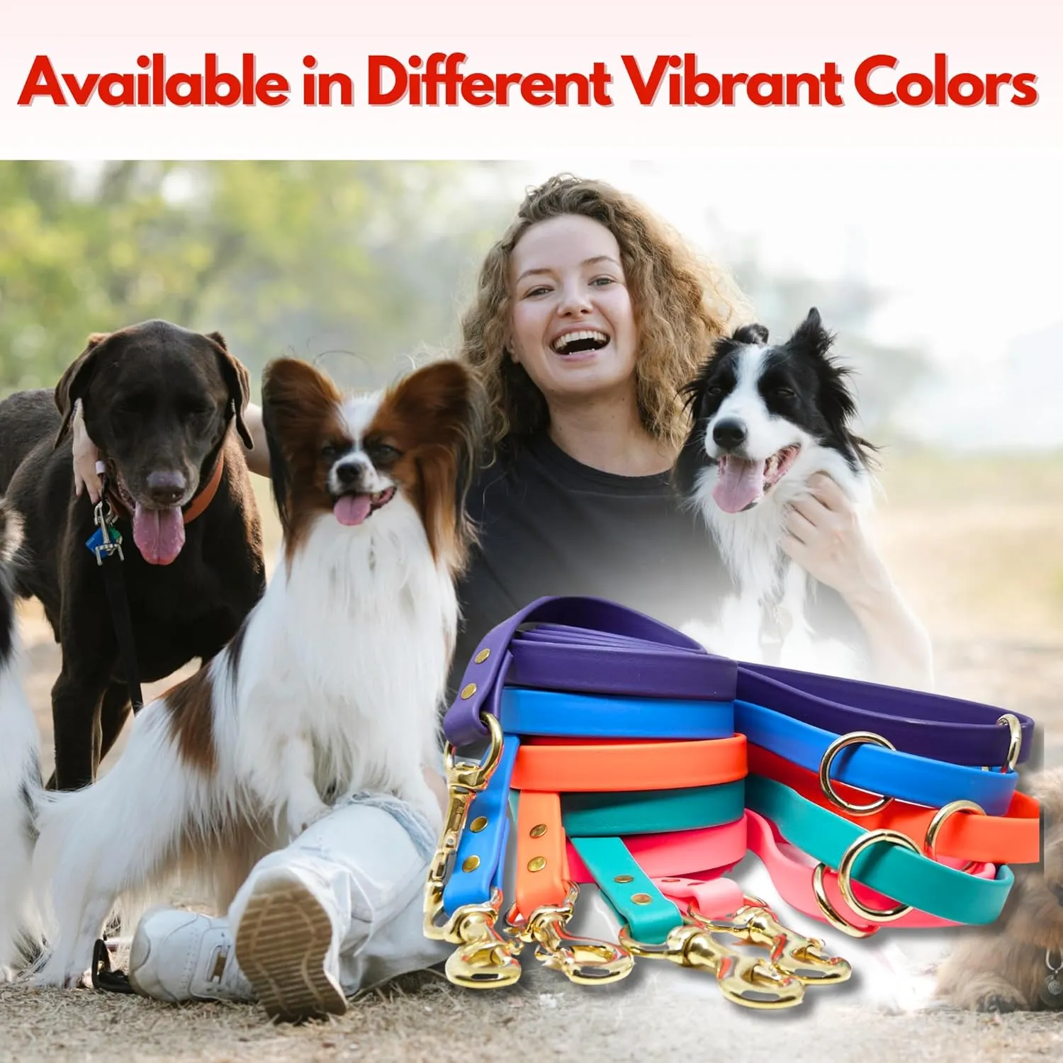 Gummy Dog Leash, Biothane, Dog Training Leash, Made in The USA, 4 Feet, Various Sizes & Colors (3/4, Black)