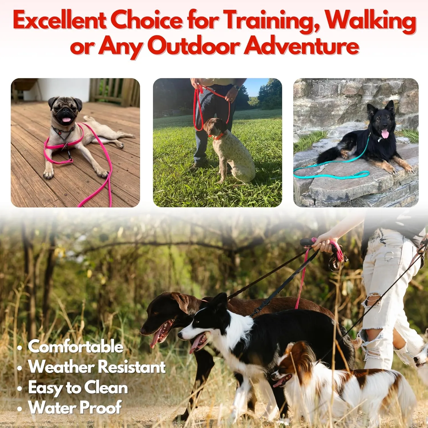Gummy Dog Leash, Biothane, Dog Training Leash, Made in The USA, 4 Feet, Various Sizes & Colors (3/4, Black)