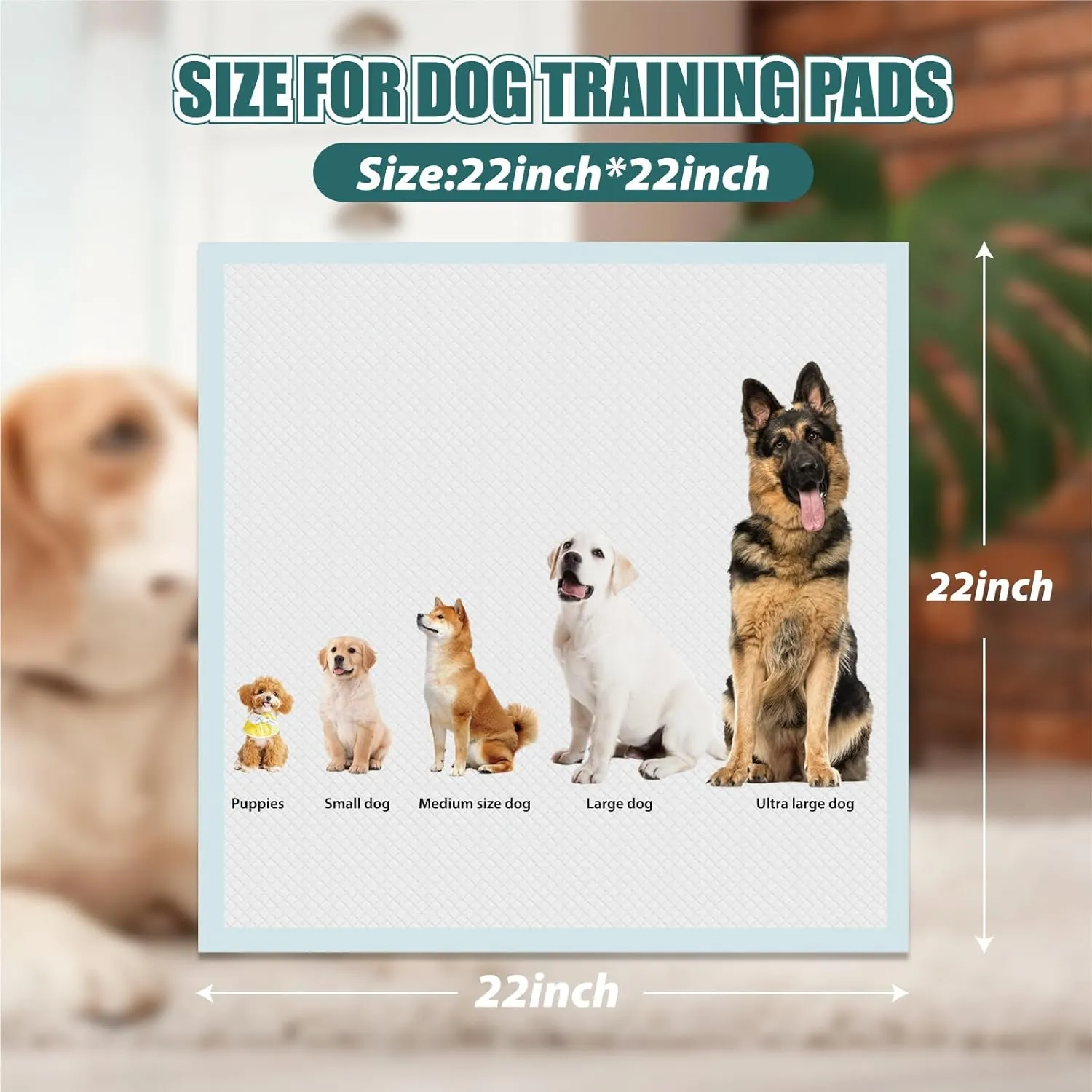 GWT Puppy Pads,Leak-Proof 22"x22" [50CT] | Pee Pads for Dogs, Ultra Absorbent 5-Layer Potty Training Underpads for All Pets