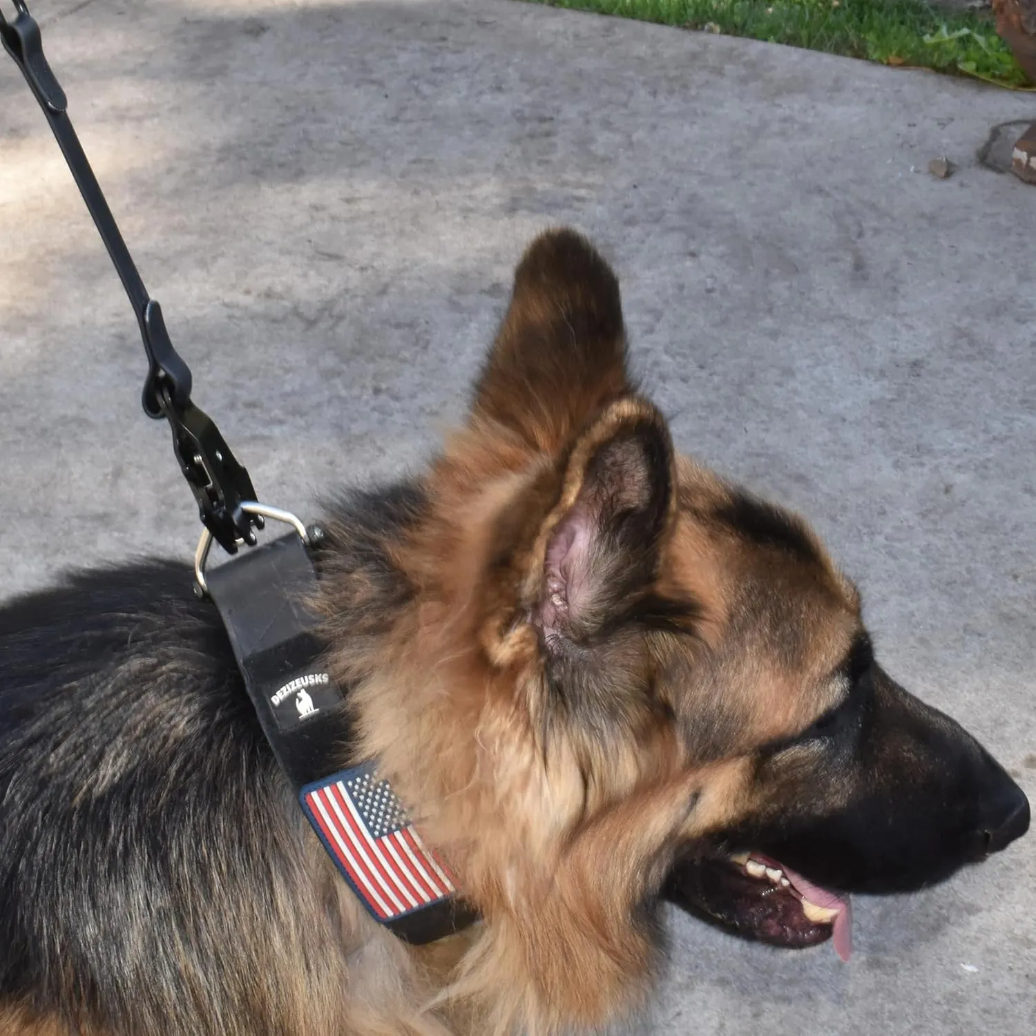 Heavy Duty Dog Leash - Quick Release Frog Clasp  PVC Rubber Coated Nylon Lead for Training & Walking Large Breed Puppies, Medium & Large Dogs, Waterproof, Odor-Free, Durable, Strong, Easy to Clean