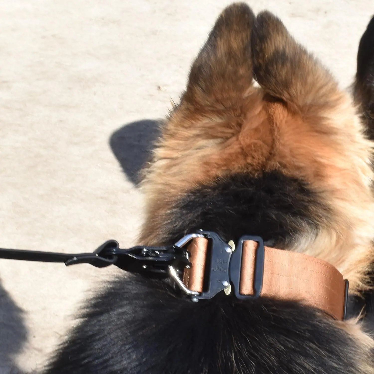 Heavy Duty Dog Leash - Quick Release Frog Clasp  PVC Rubber Coated Nylon Lead for Training & Walking Large Breed Puppies, Medium & Large Dogs, Waterproof, Odor-Free, Durable, Strong, Easy to Clean
