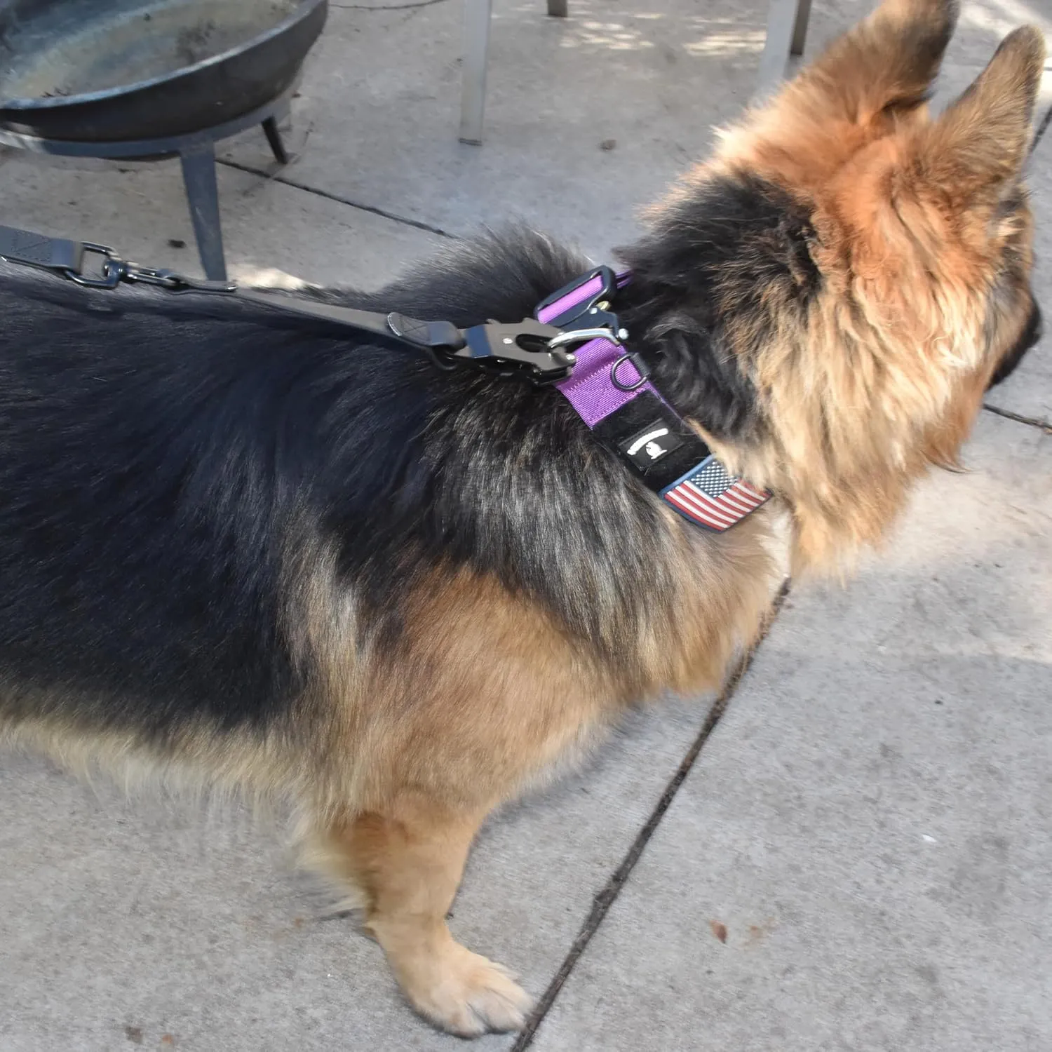 Heavy Duty Dog Leash - Quick Release Frog Clasp  PVC Rubber Coated Nylon Lead for Training & Walking Large Breed Puppies, Medium & Large Dogs, Waterproof, Odor-Free, Durable, Strong, Easy to Clean