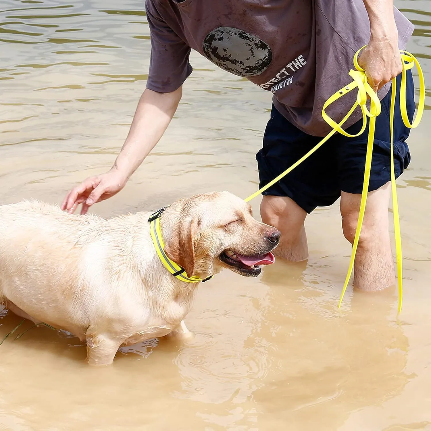 Long Leash Waterproof Training Longline Outdoor Dog Leash Great for Training, Beach, Yard, Play, Camping