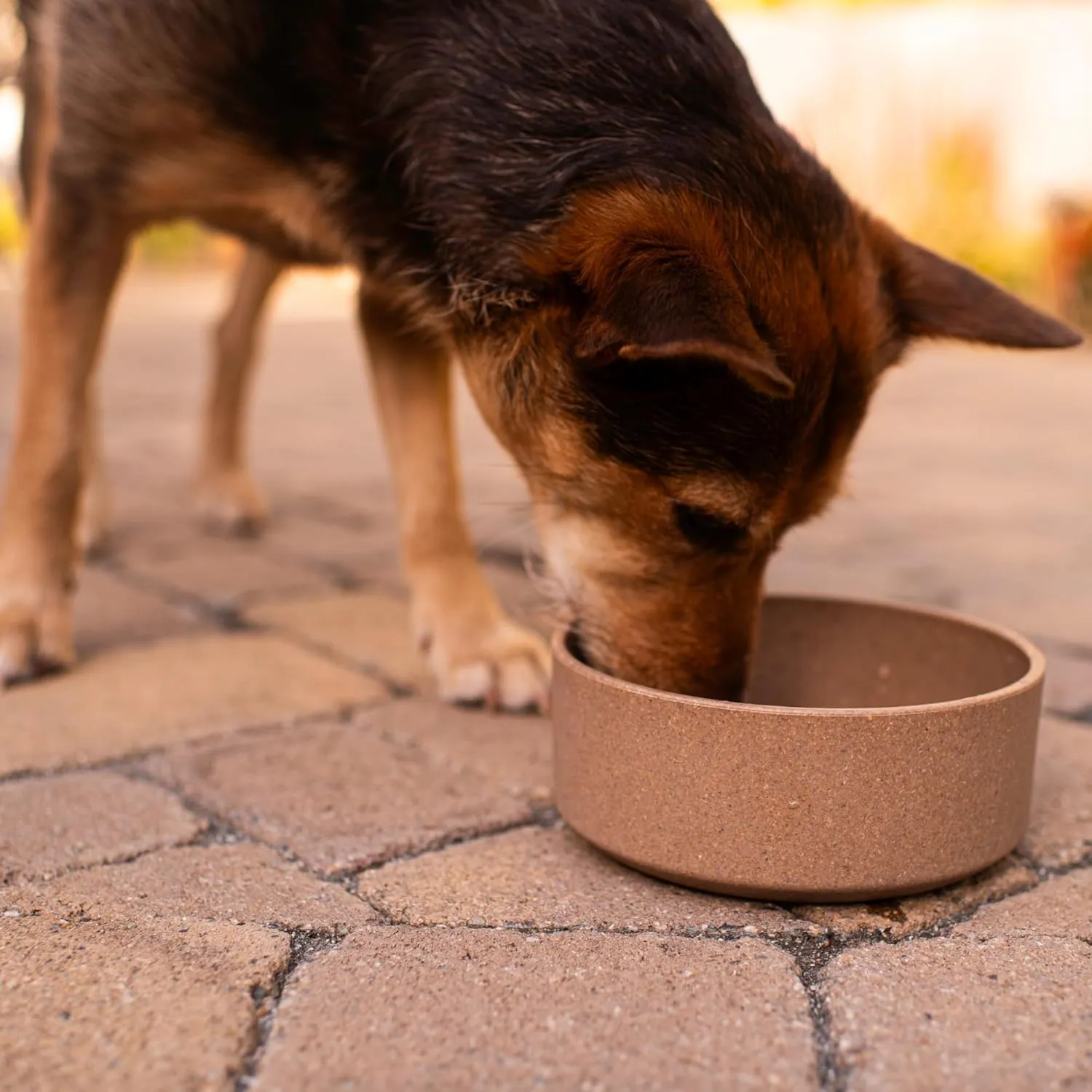 Loving Pets - Dolce Bamboo - Eco-Friendly Pet Bowls & Dishes for Dog, Cats, Puppy Food and Water Dish -Sustainable and Dishwasher Safe, Made with Real Bamboo (Small, Coffee-Brown)