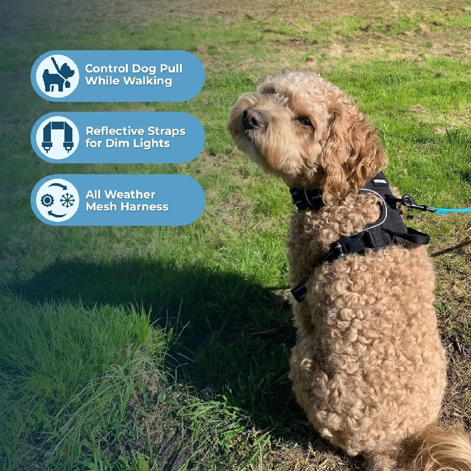 No Pull Dog Harness for Large Dogs, Dual Leash Attachments, Adjustable Soft but Strong Pet Harness with 3M Reflective Technology, Black Nylon, XL (Chest: 28-37")