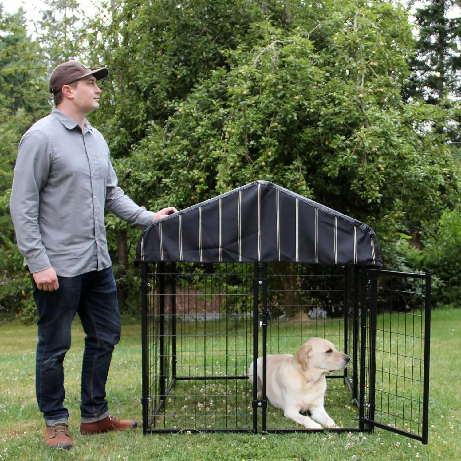 Outdoor Steel Frame Kennel Enclosure w/Black Canopy, Uptown Series, 4'x4'x4.3'
