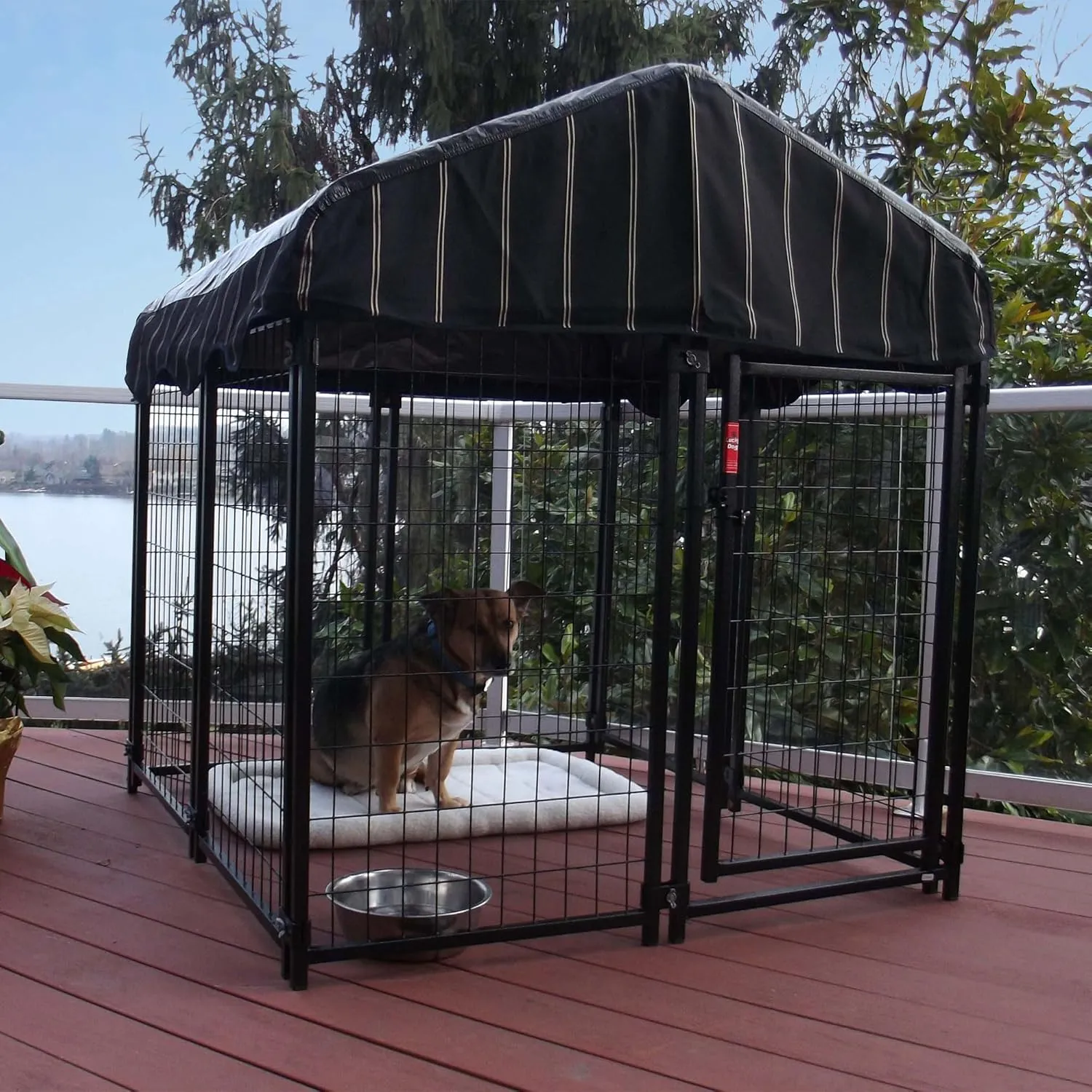 Outdoor Steel Frame Kennel Enclosure w/Black Canopy, Uptown Series, 4'x4'x4.3'
