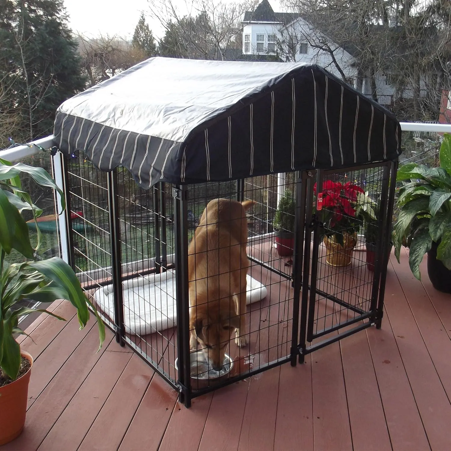 Outdoor Steel Frame Kennel Enclosure w/Black Canopy, Uptown Series, 4'x4'x4.3'