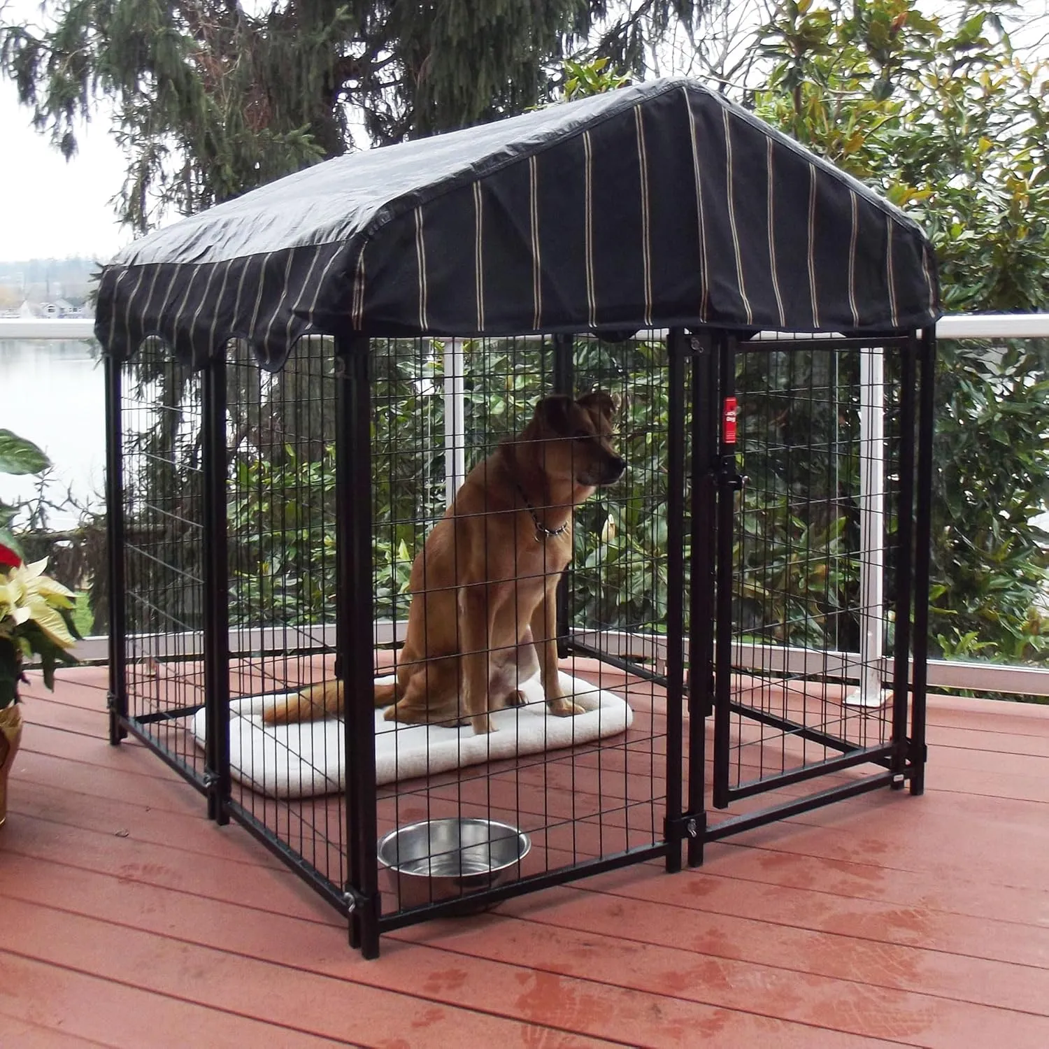 Outdoor Steel Frame Kennel Enclosure w/Black Canopy, Uptown Series, 4'x4'x4.3'