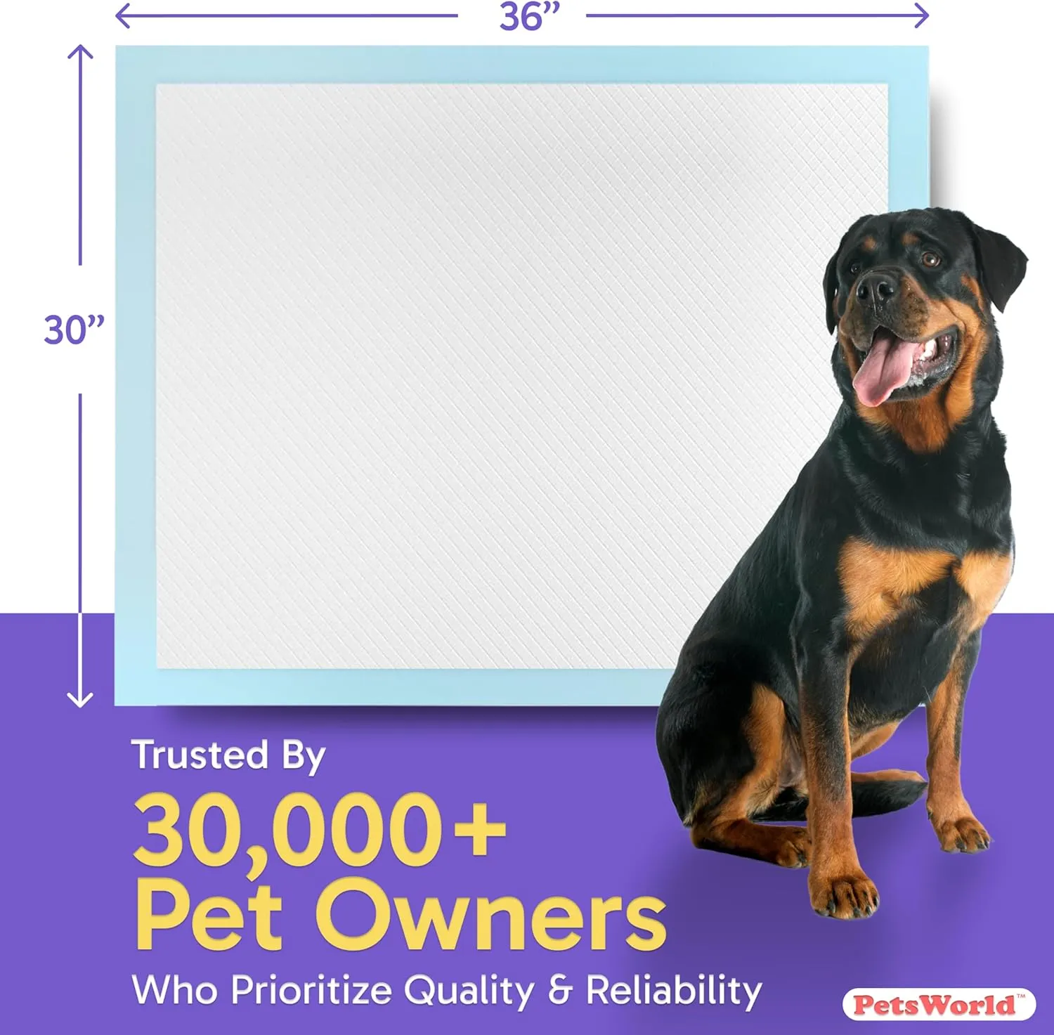 PetsWorld XL Dog Pee Pads 30"x36", 200-Count  Heavy Duty, Leak-Proof Potty Training Pads for Puppies & Large Dogs, Super Absorbent, Quick-Dry Disposable Pads with Odor Control