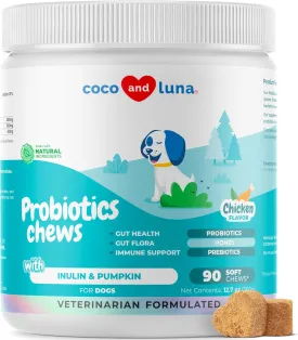 Probiotics for Dogs - 90 Soft Chews - Support Gut Health, Diarrhea, Gas, & Seasonal Allergies - with Honey, Pumpkin and Prebiotics for Digestive Support, Bad Dog Breath & Constipation