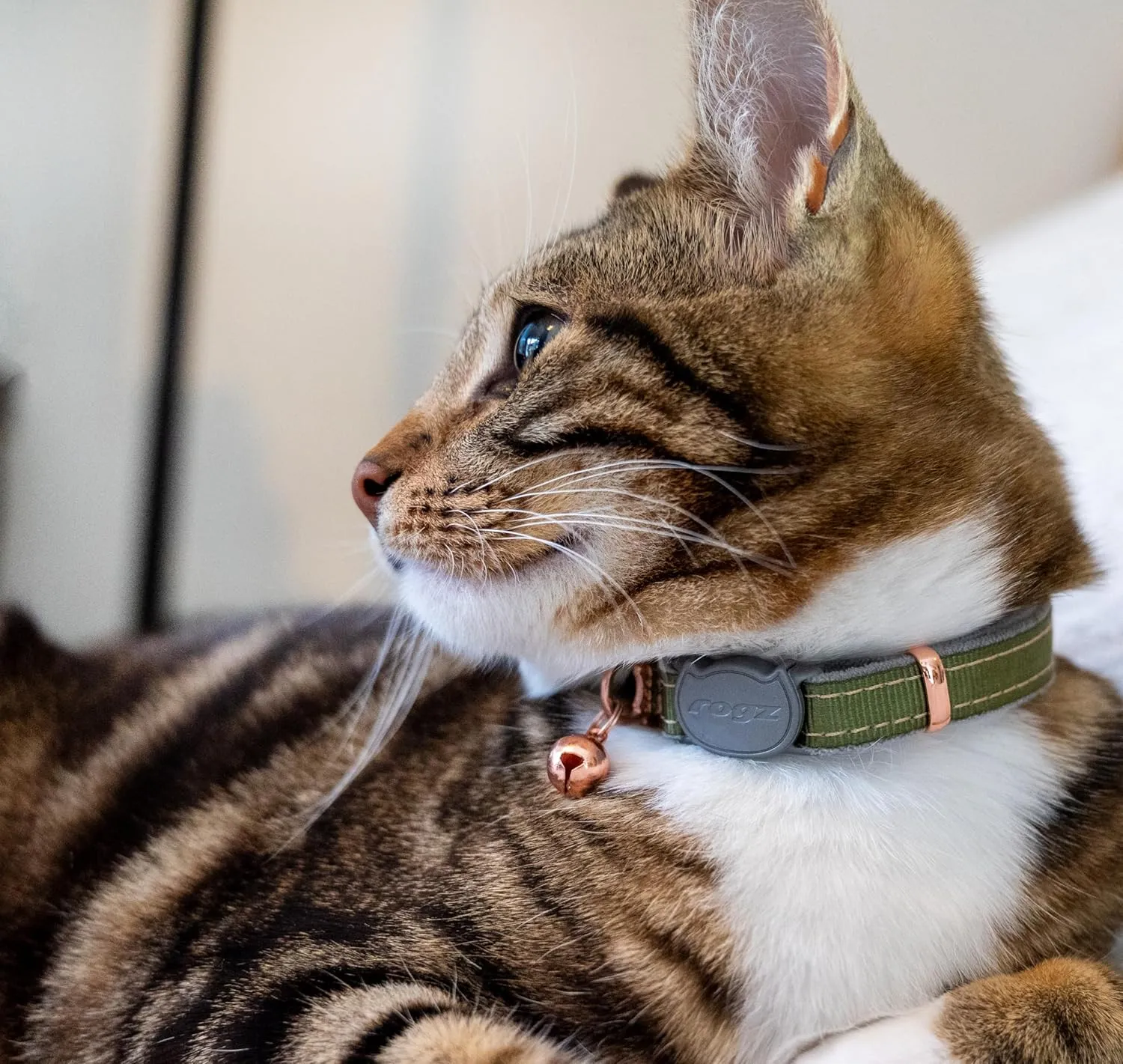 Rogz Urban Cat Safety Collar Small/Medium - Olive Twist