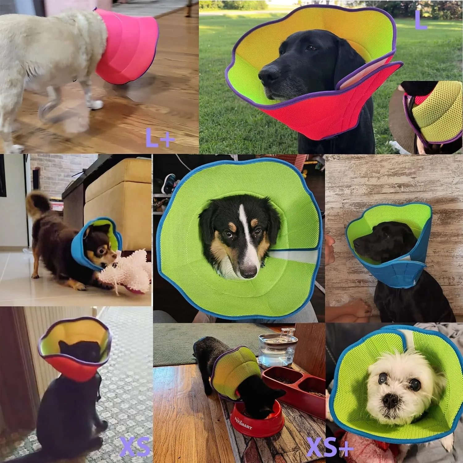 Soft Cone for Mini Dogs Alternative After Surgery, Comfortable Adjustable Small Dog Recovery Collars & Cones to Stop Licking, Elizabethan Pet Cone of Shame Alternatives - Blue Green (S)