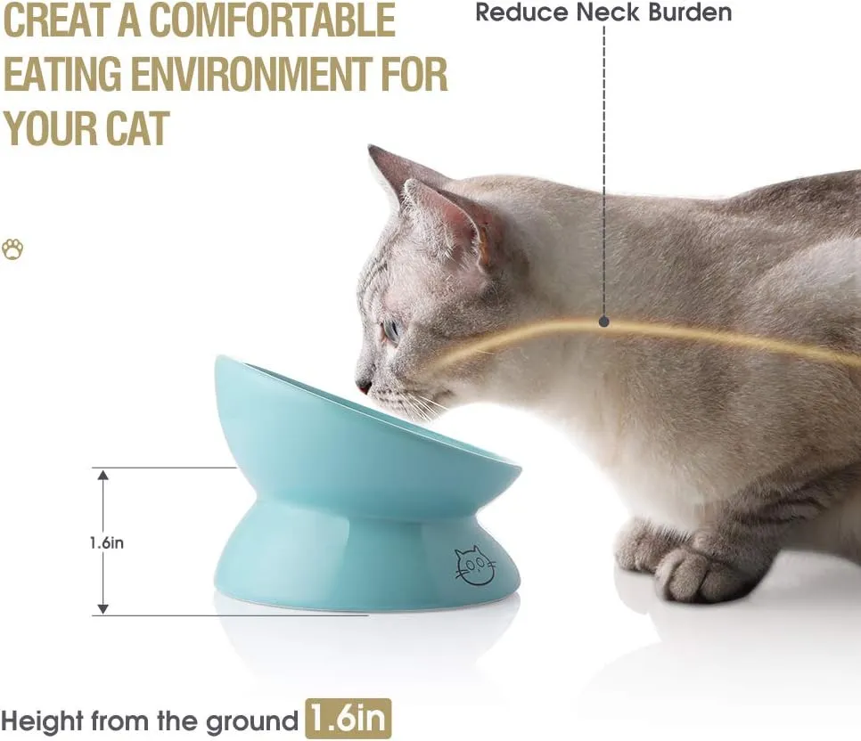 Sweejar Ceramic Raised Cat Bowls, Slanted Cat Dish Food or Water Bowls, Elevated Porcelain Pet Feeder Bowl Protect Cat's Spine, Stress Free, Backflow Prevention (Turquoise)