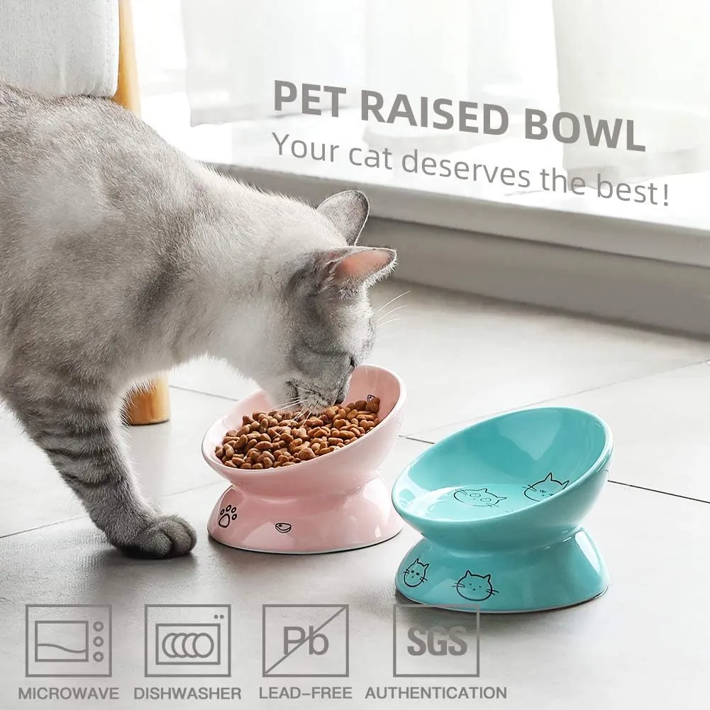 Sweejar Ceramic Raised Cat Bowls, Slanted Cat Dish Food or Water Bowls, Elevated Porcelain Pet Feeder Bowl Protect Cat's Spine, Stress Free, Backflow Prevention (Turquoise)