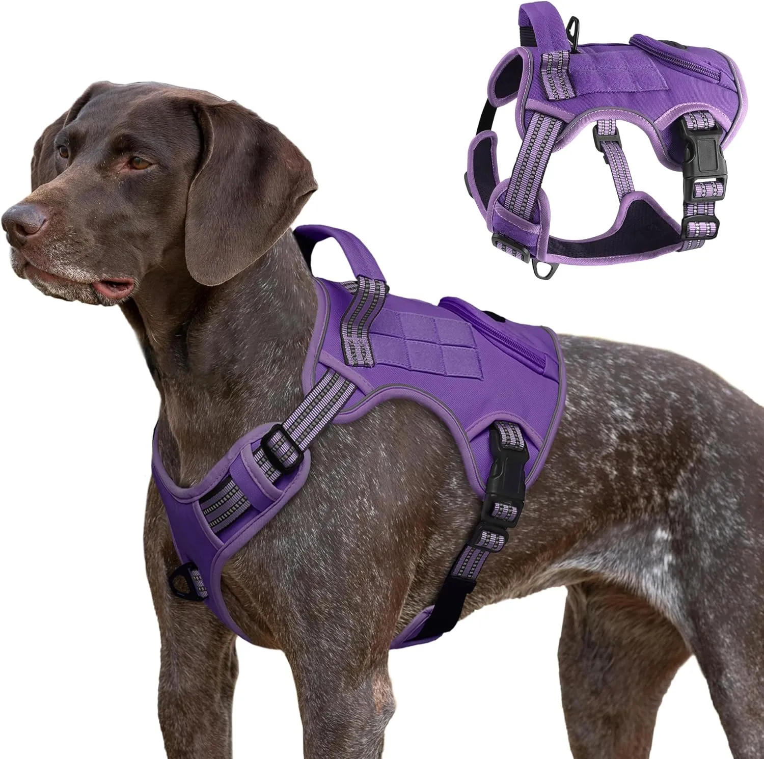 Tactical Dog Harness for Large Dogs, Heavy Duty No Pull Military Service Vest with Control Handle & 4 Patches, Adjustable Reflective Soft Padded Pet Harness for Training Walking Hiking (Purple, M)