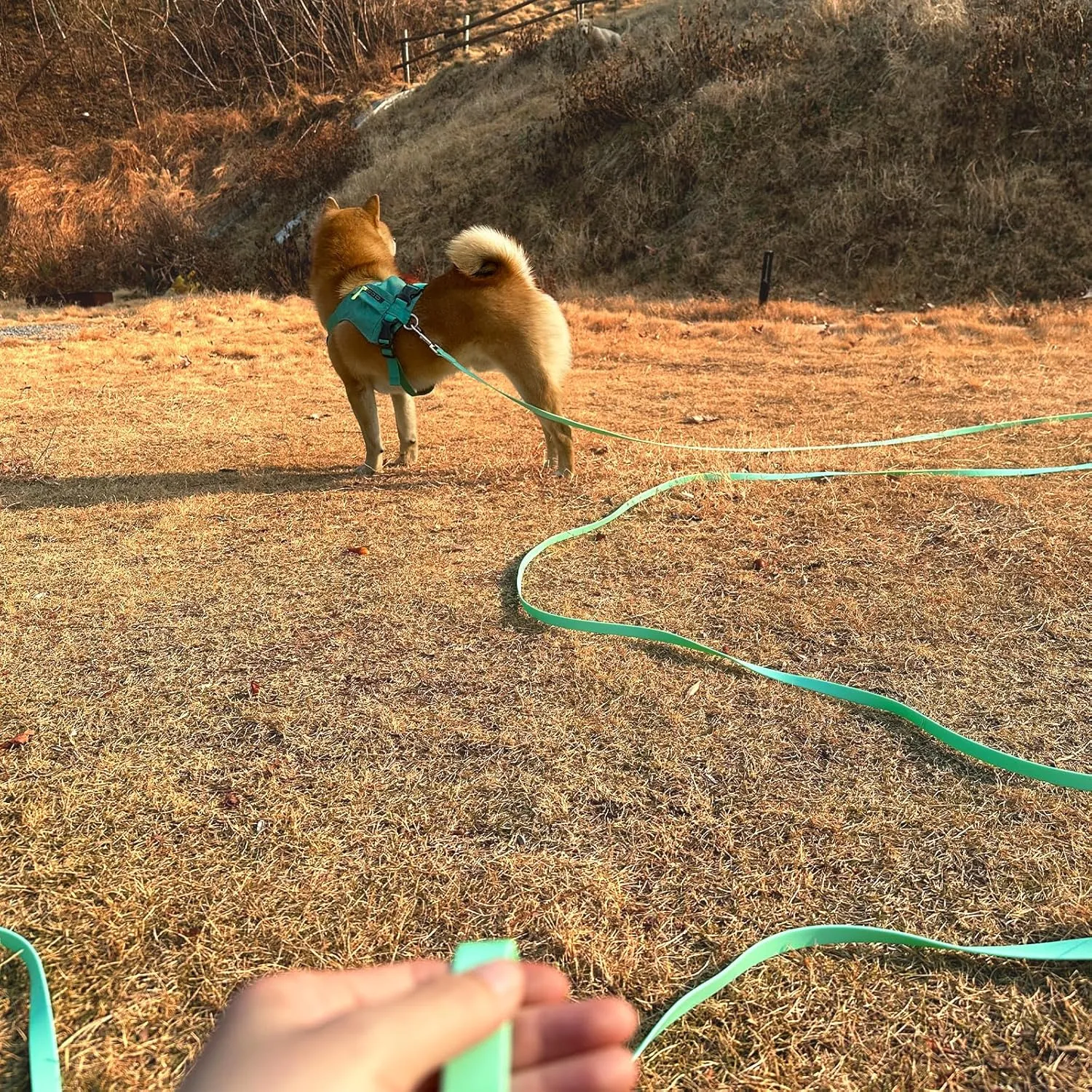 Waterproof Long Leash Durable Dog Recall Training Lead Great for Outdoor Hiking, Training, Yard, Beach and Swimming (Light Green, 10ft)