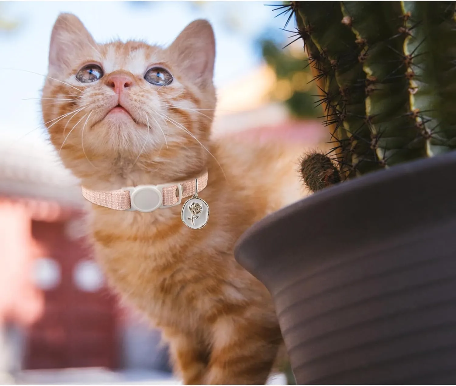 Yizepet Cat Collars, Breakaway Kitten Collar, Cute Kitty Collar in 2 Pack, Pet Supplies Accessories