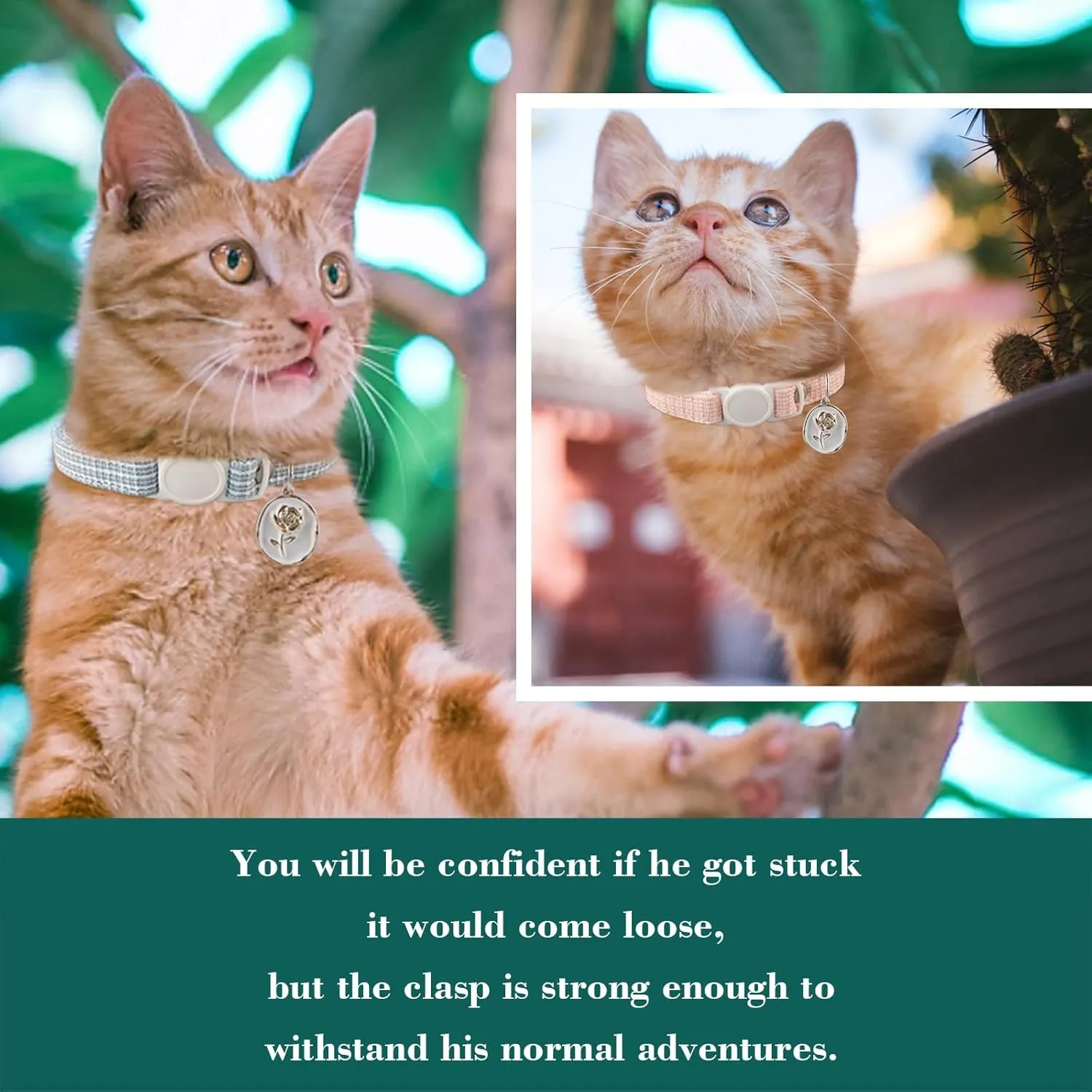 Yizepet Cat Collars, Breakaway Kitten Collar, Cute Kitty Collar in 2 Pack, Pet Supplies Accessories